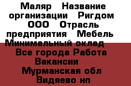 Маляр › Название организации ­ Ригдом, ООО › Отрасль предприятия ­ Мебель › Минимальный оклад ­ 1 - Все города Работа » Вакансии   . Мурманская обл.,Видяево нп